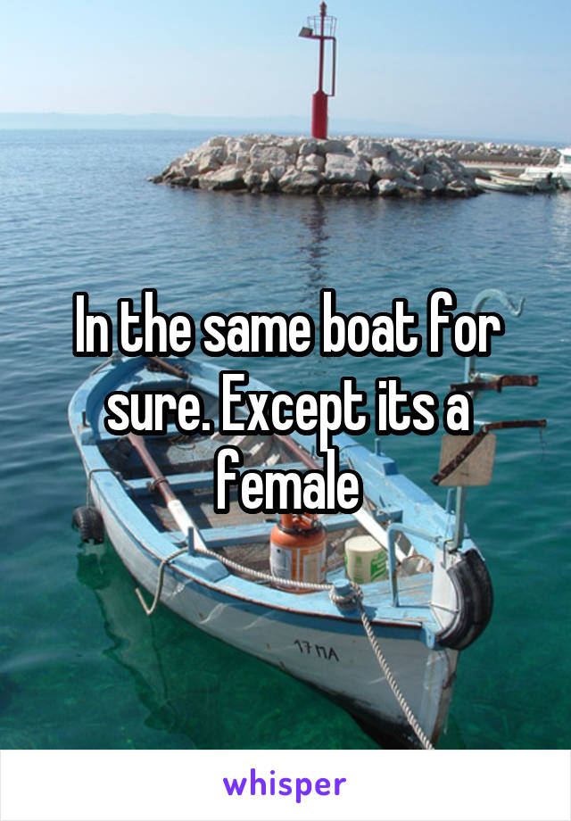 In the same boat for sure. Except its a female