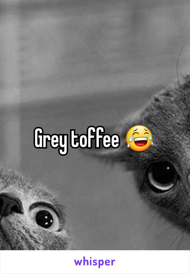 Grey toffee 😂