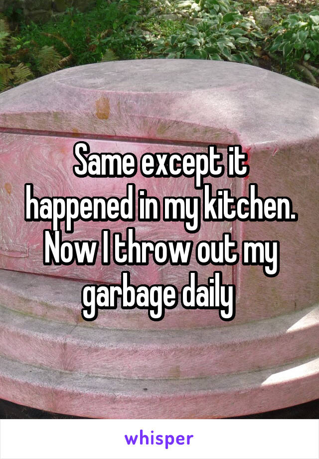 Same except it happened in my kitchen. Now I throw out my garbage daily 