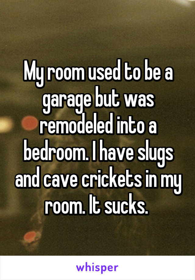 My room used to be a garage but was remodeled into a bedroom. I have slugs and cave crickets in my room. It sucks. 