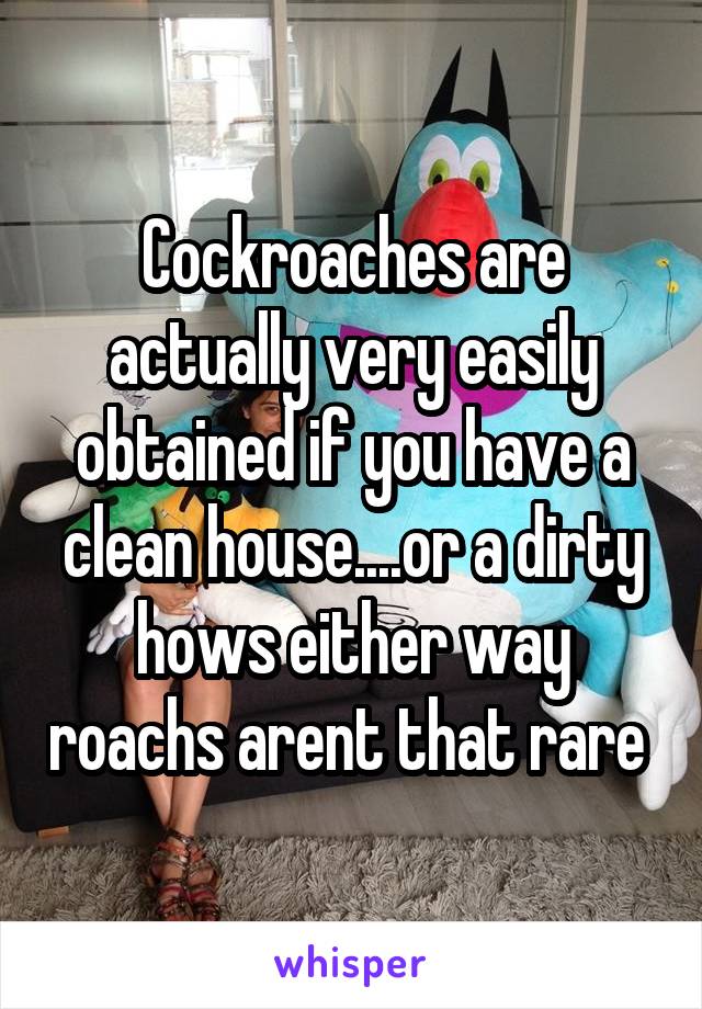 Cockroaches are actually very easily obtained if you have a clean house....or a dirty hows either way roachs arent that rare 