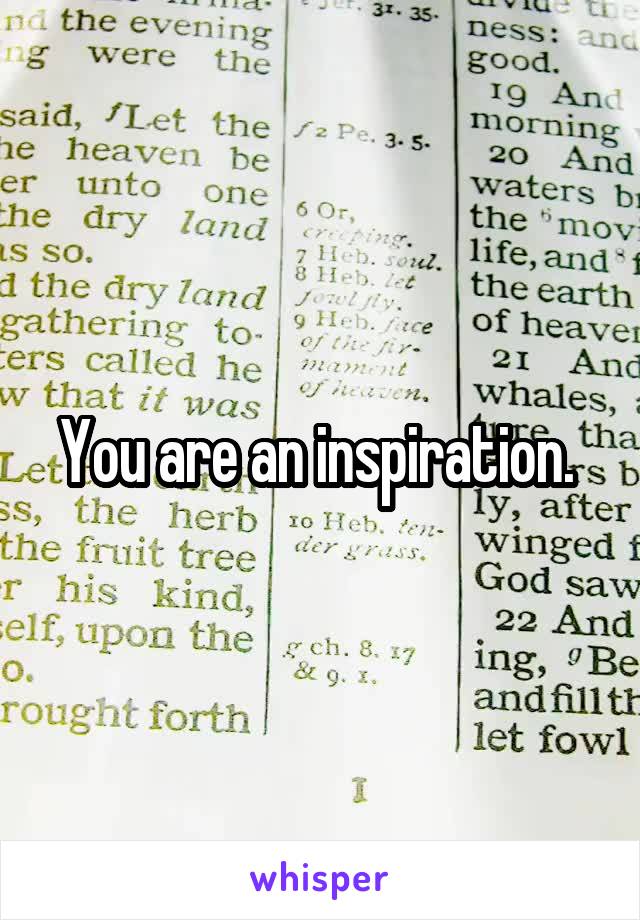 You are an inspiration. 