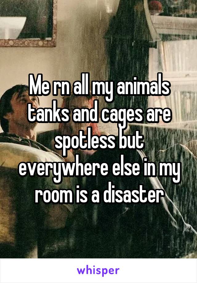 Me rn all my animals tanks and cages are spotless but everywhere else in my room is a disaster