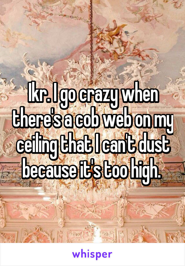 Ikr. I go crazy when there's a cob web on my ceiling that I can't dust because it's too high. 