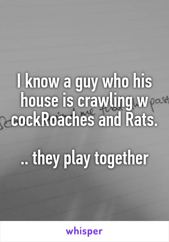 I know a guy who his house is crawling w cockRoaches and Rats. 
.. they play together