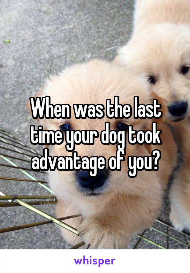 When was the last time your dog took advantage of you?