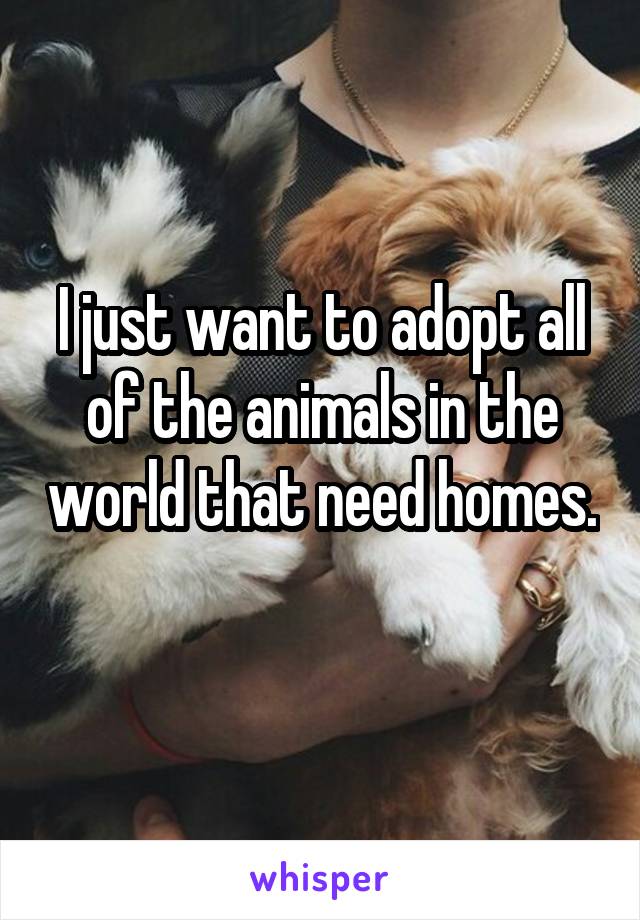 I just want to adopt all of the animals in the world that need homes. 