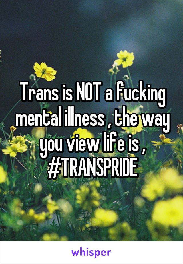 Trans is NOT a fucking mental illness , the way you view life is , #TRANSPRIDE