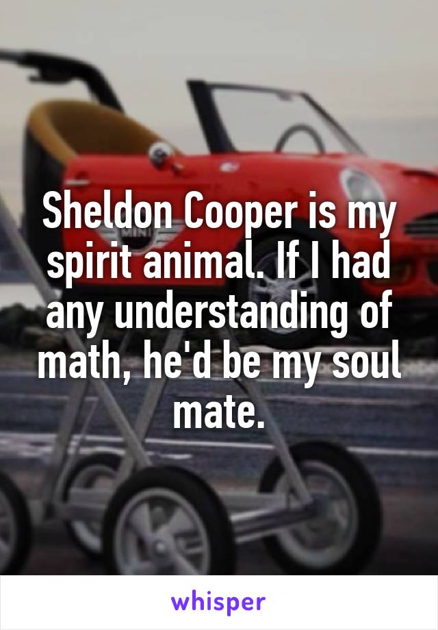 Sheldon Cooper is my spirit animal. If I had any understanding of math, he'd be my soul mate.