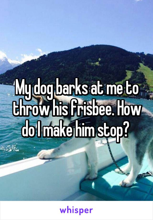My dog barks at me to throw his frisbee. How do I make him stop? 