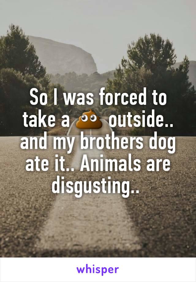 So I was forced to take a 💩 outside.. and my brothers dog ate it.. Animals are disgusting.. 