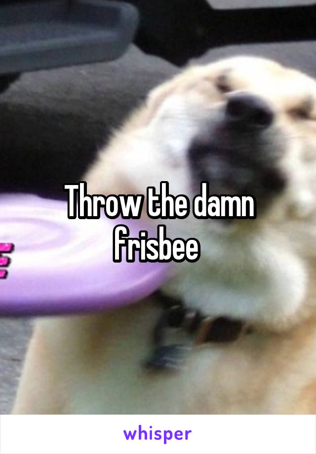Throw the damn frisbee 
