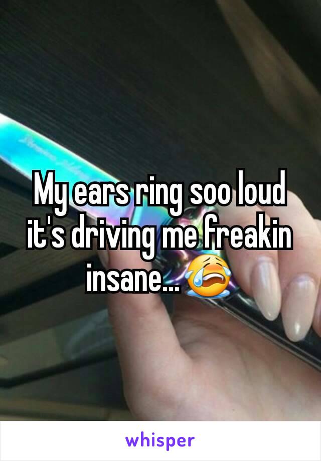 My ears ring soo loud it's driving me freakin  insane...😭