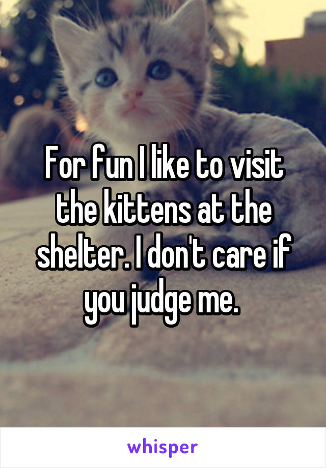 For fun I like to visit the kittens at the shelter. I don't care if you judge me. 