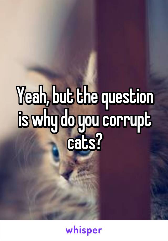 Yeah, but the question is why do you corrupt cats?