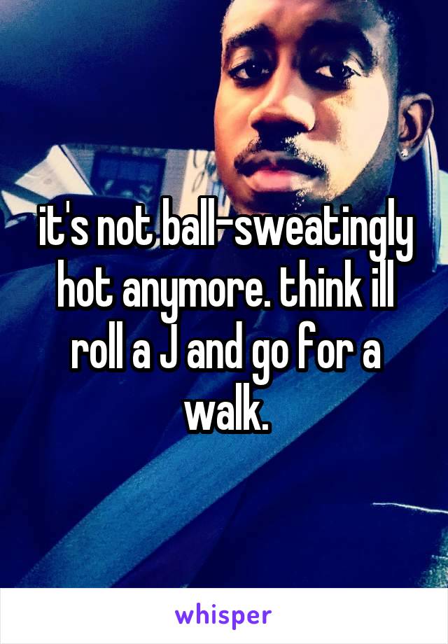 it's not ball-sweatingly hot anymore. think ill roll a J and go for a walk.