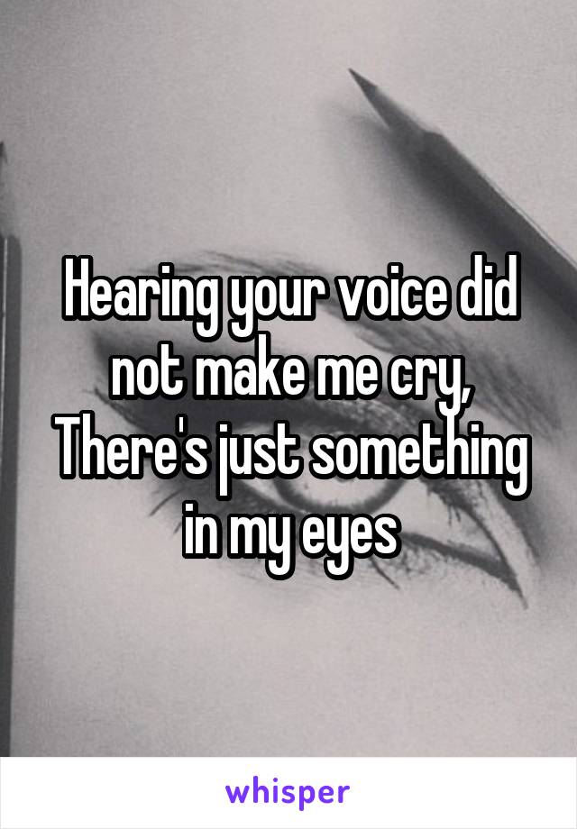 Hearing your voice did not make me cry,
There's just something in my eyes