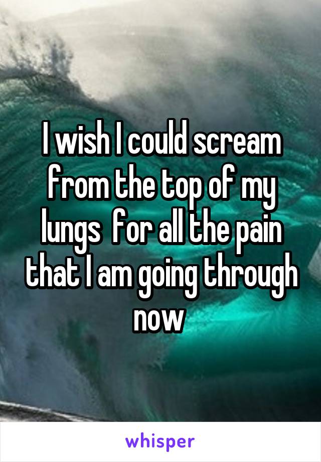 I wish I could scream from the top of my lungs  for all the pain that I am going through now 
