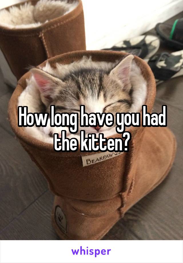 How long have you had the kitten?