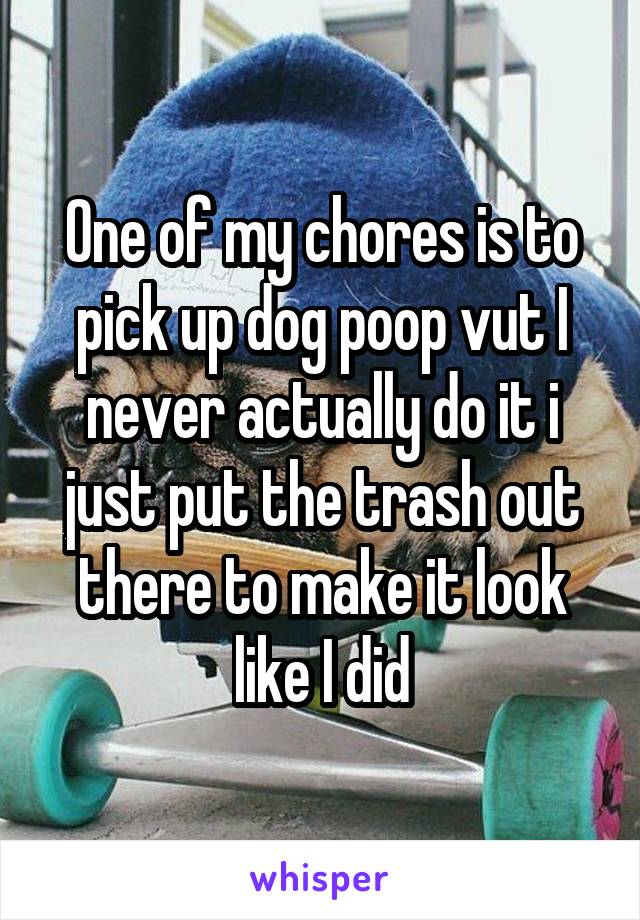 One of my chores is to pick up dog poop vut I never actually do it i just put the trash out there to make it look like I did