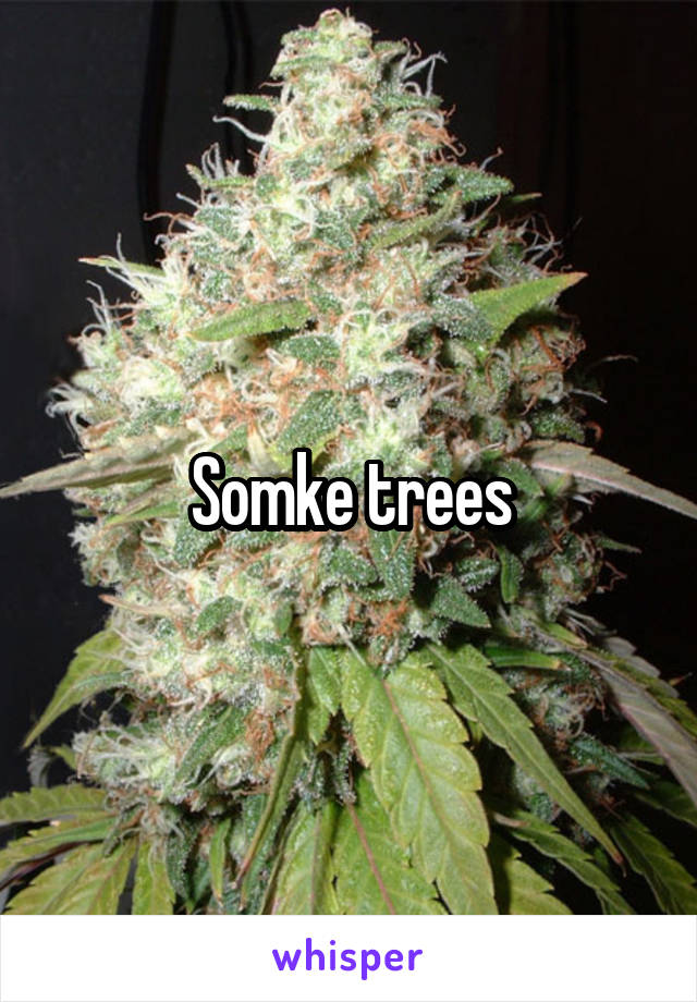 Somke trees