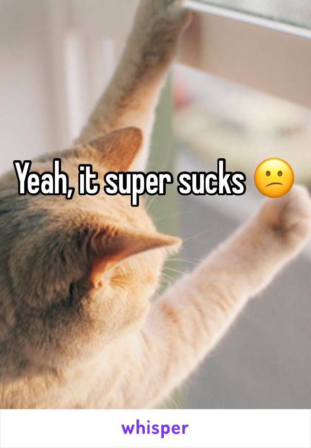 Yeah, it super sucks 😕