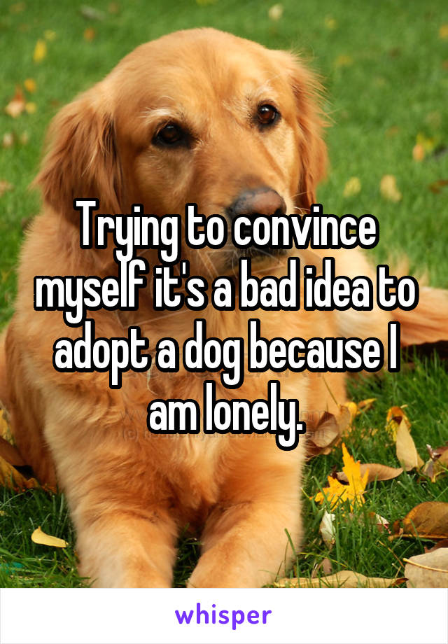 Trying to convince myself it's a bad idea to adopt a dog because I am lonely.