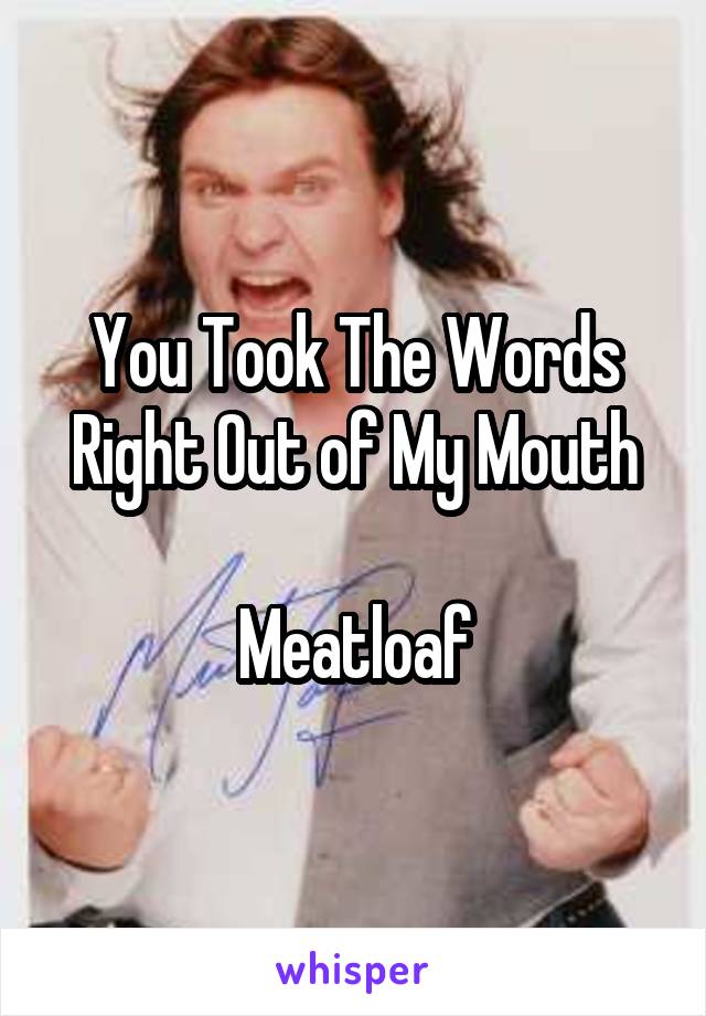 You Took The Words Right Out of My Mouth

Meatloaf