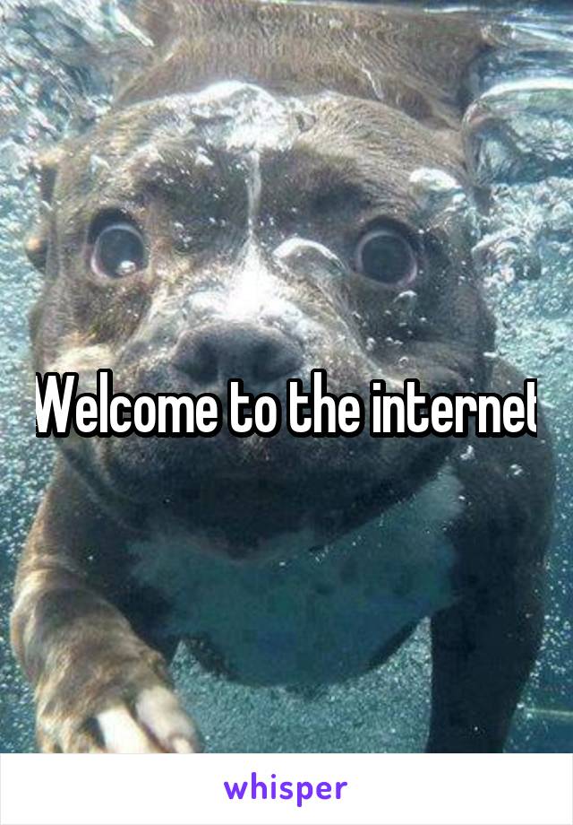 Welcome to the internet