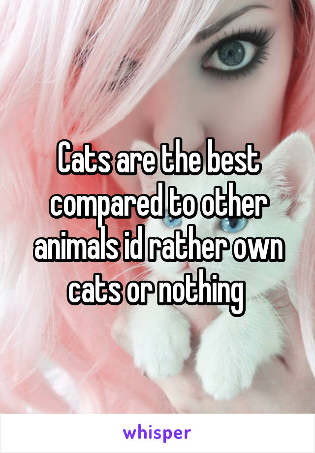 Cats are the best compared to other animals id rather own cats or nothing 