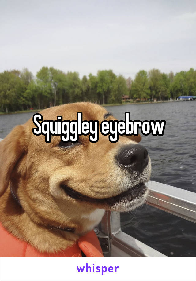 Squiggley eyebrow
