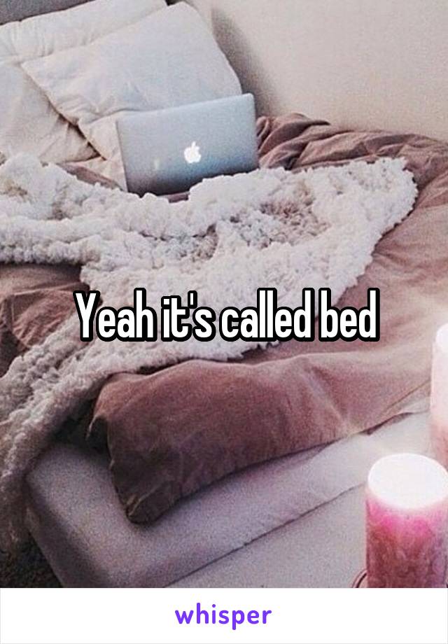 Yeah it's called bed