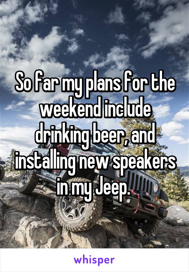 So far my plans for the weekend include drinking beer, and installing new speakers in my Jeep. 