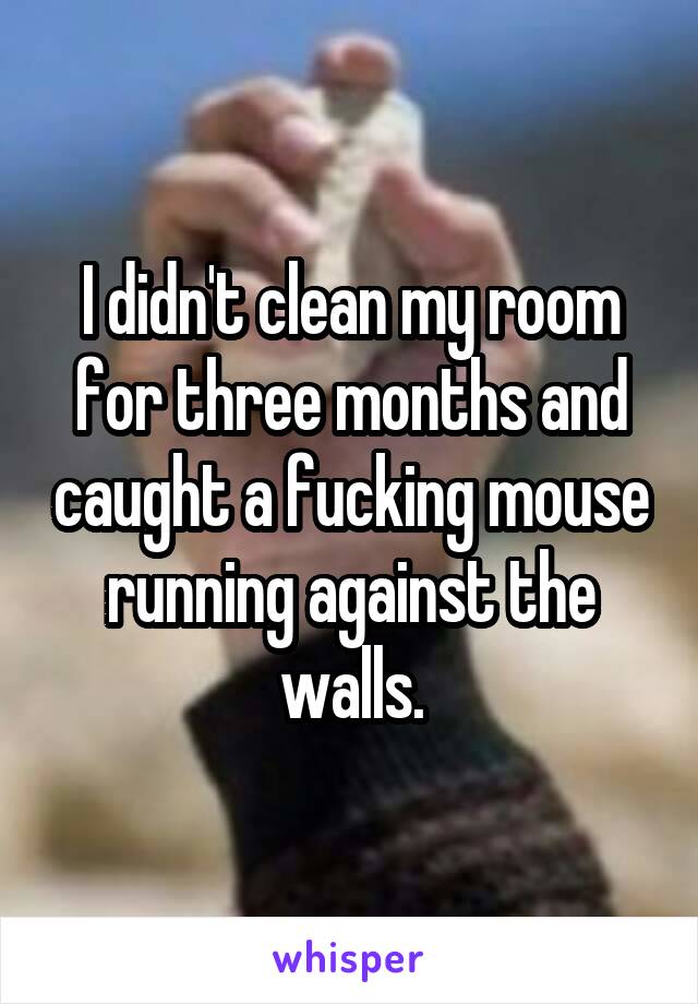 I didn't clean my room for three months and caught a fucking mouse running against the walls.