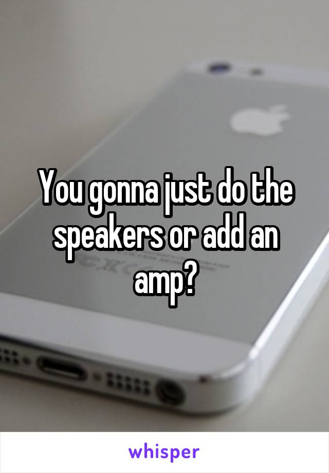 You gonna just do the speakers or add an amp?