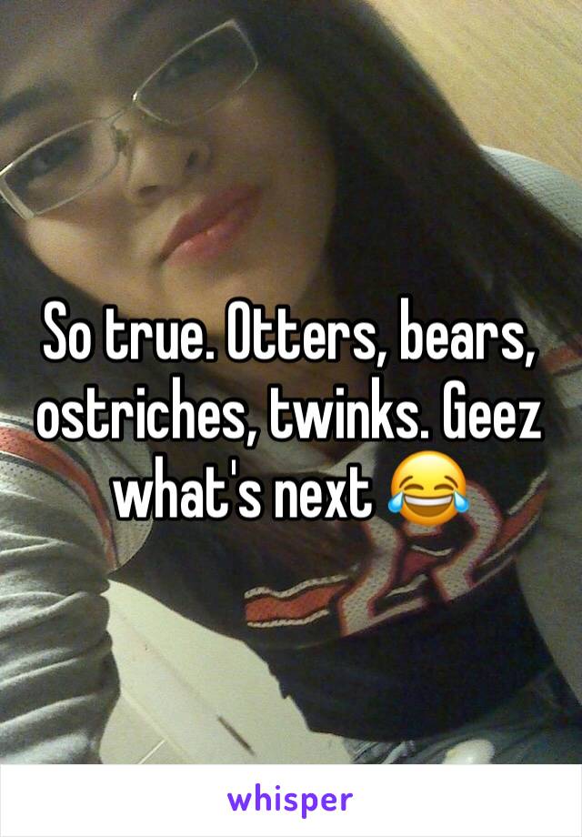So true. Otters, bears, ostriches, twinks. Geez what's next 😂