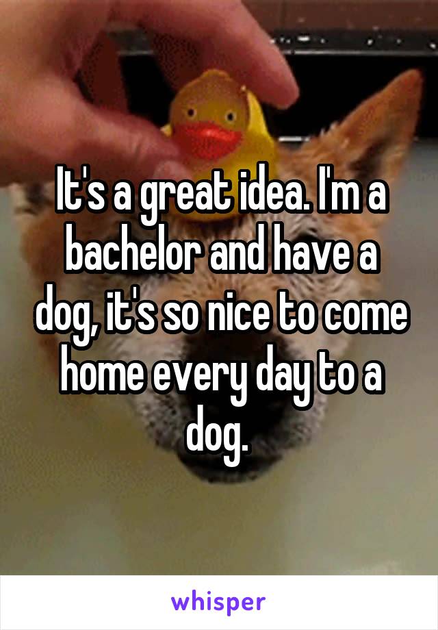 It's a great idea. I'm a bachelor and have a dog, it's so nice to come home every day to a dog. 