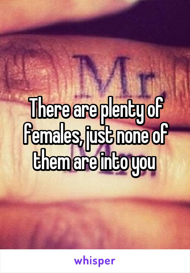 There are plenty of females, just none of them are into you 