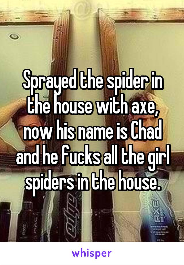 Sprayed the spider in the house with axe, now his name is Chad and he fucks all the girl spiders in the house.