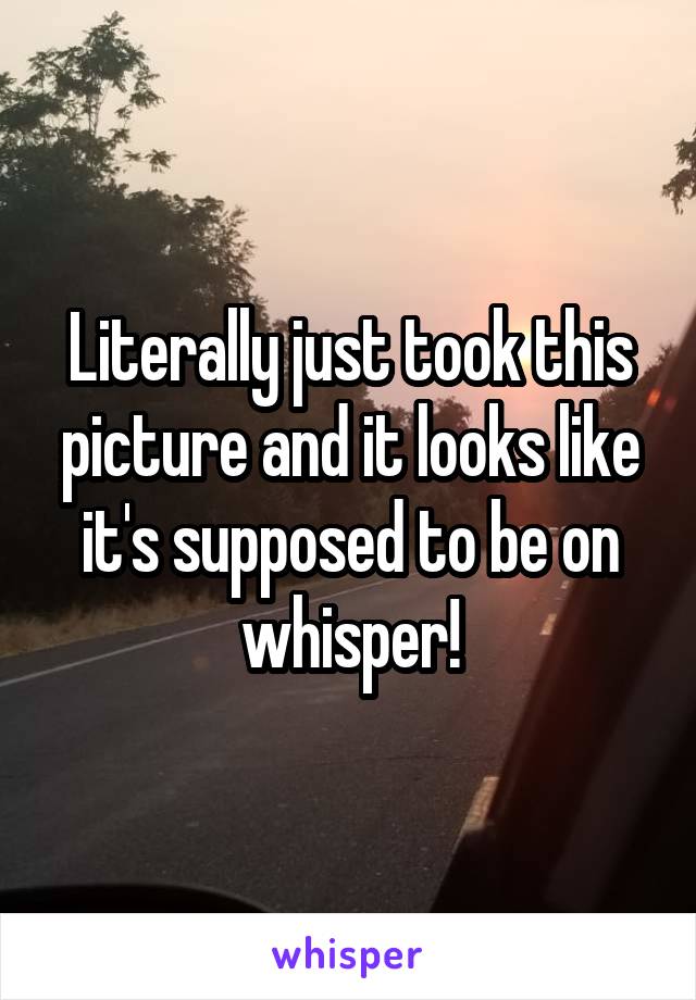 Literally just took this picture and it looks like it's supposed to be on whisper!