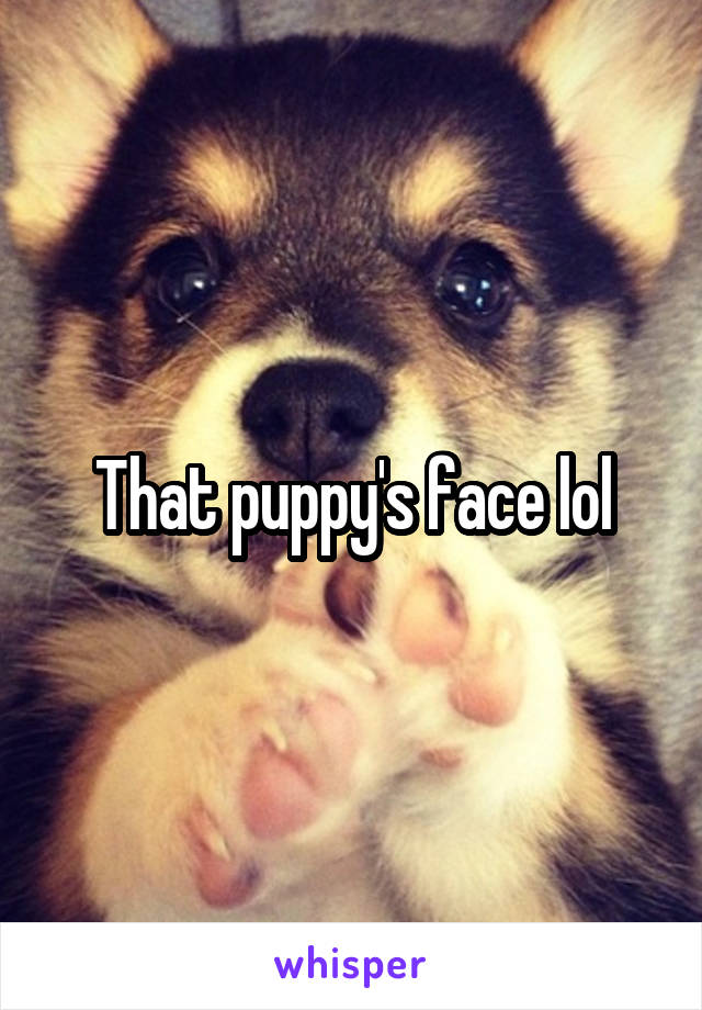 That puppy's face lol