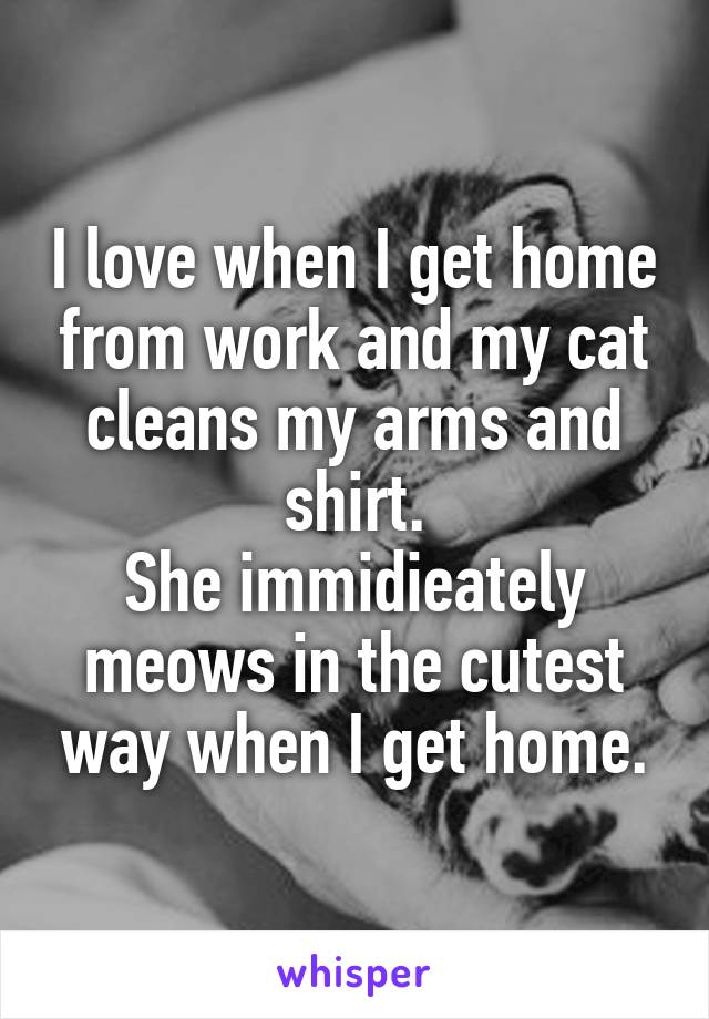 I love when I get home from work and my cat cleans my arms and shirt.
She immidieately meows in the cutest way when I get home.