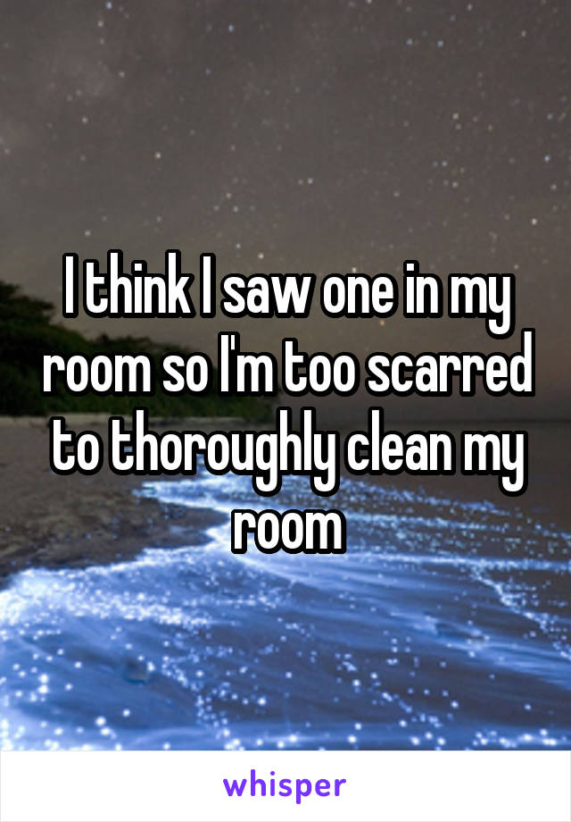 I think I saw one in my room so I'm too scarred to thoroughly clean my room