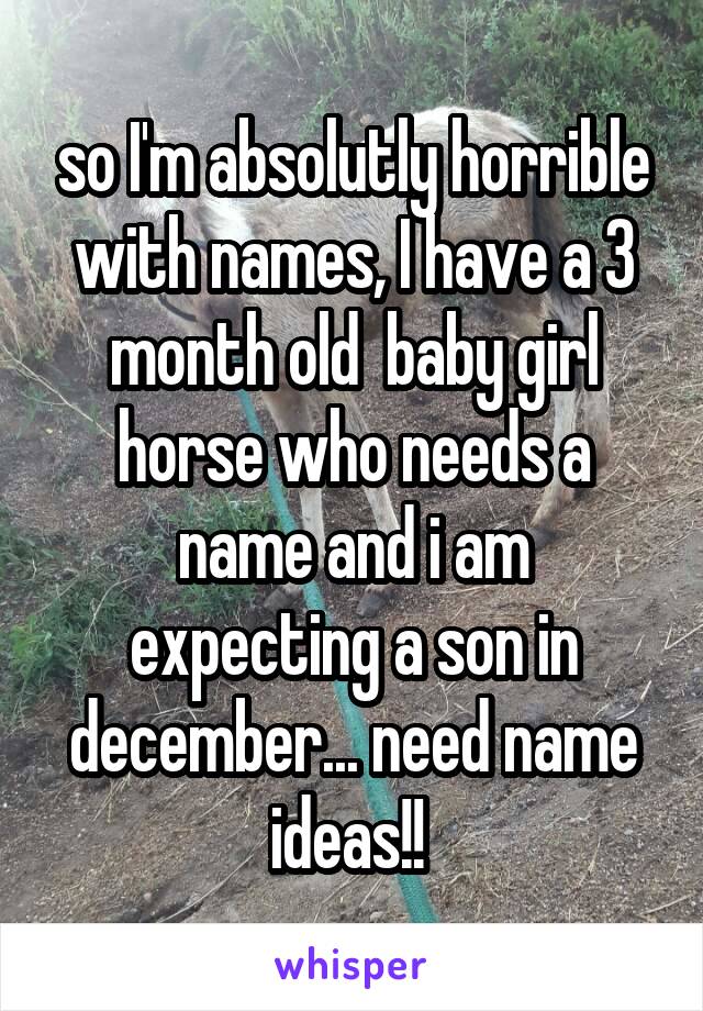 so I'm absolutly horrible with names, I have a 3 month old  baby girl horse who needs a name and i am expecting a son in december... need name ideas!! 