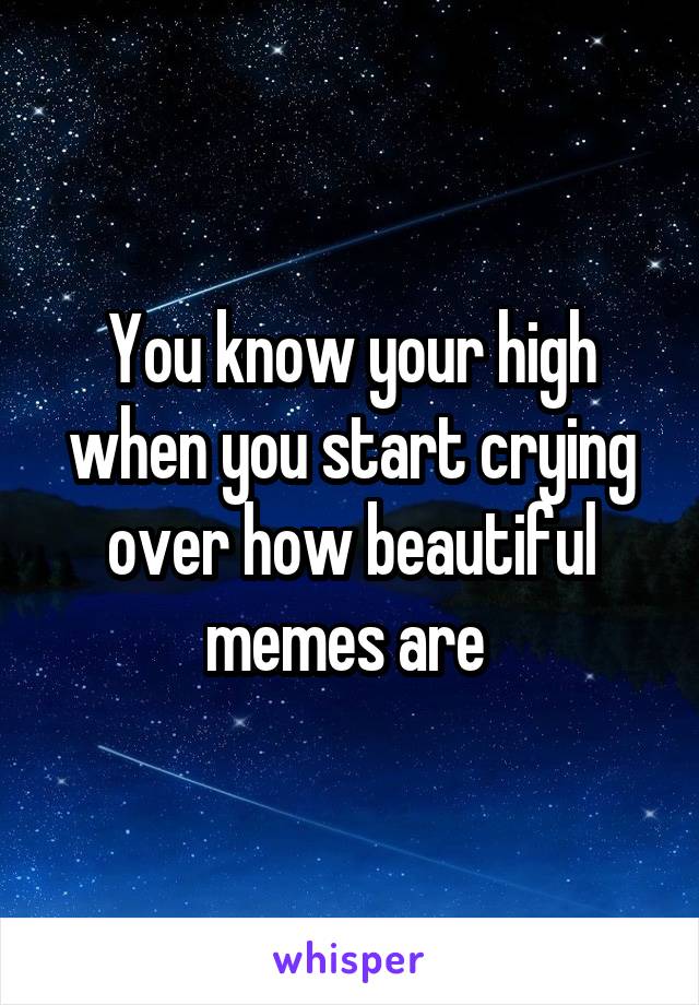 You know your high when you start crying over how beautiful memes are 