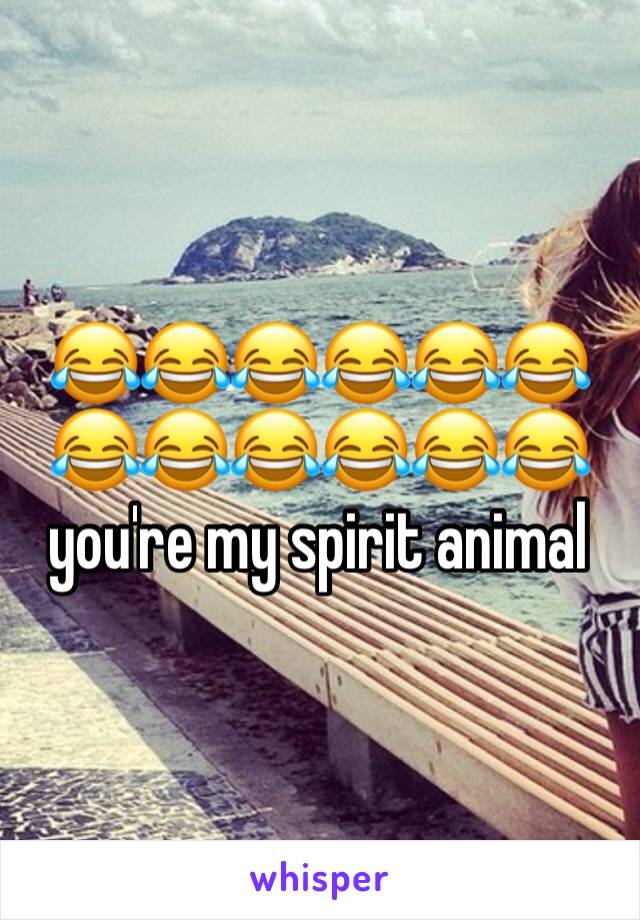 😂😂😂😂😂😂😂😂😂😂😂😂 you're my spirit animal 