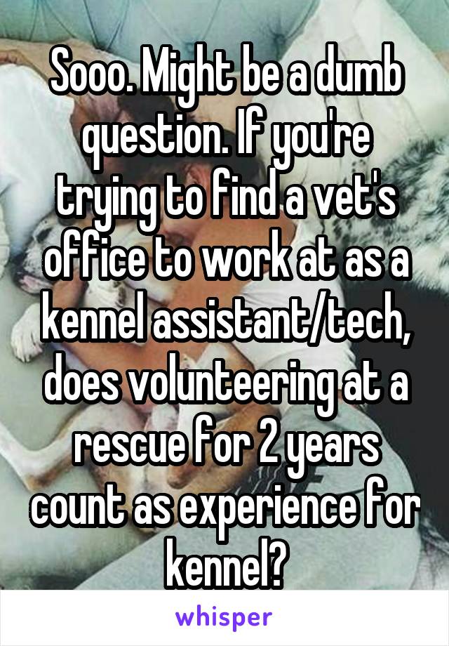 Sooo. Might be a dumb question. If you're trying to find a vet's office to work at as a kennel assistant/tech, does volunteering at a rescue for 2 years count as experience for kennel?