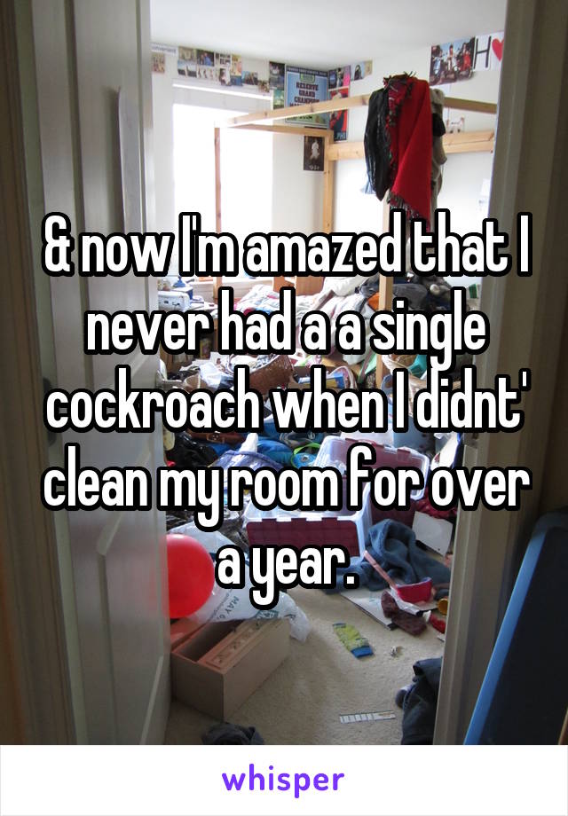 & now I'm amazed that I never had a a single cockroach when I didnt' clean my room for over a year.