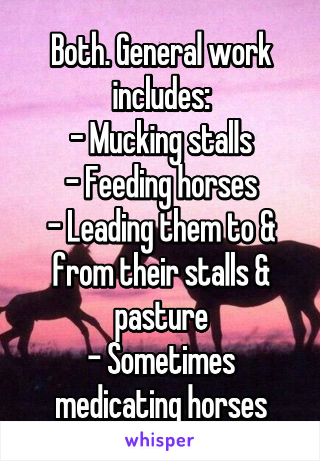 Both. General work includes:
- Mucking stalls
- Feeding horses
- Leading them to & from their stalls & pasture
- Sometimes medicating horses