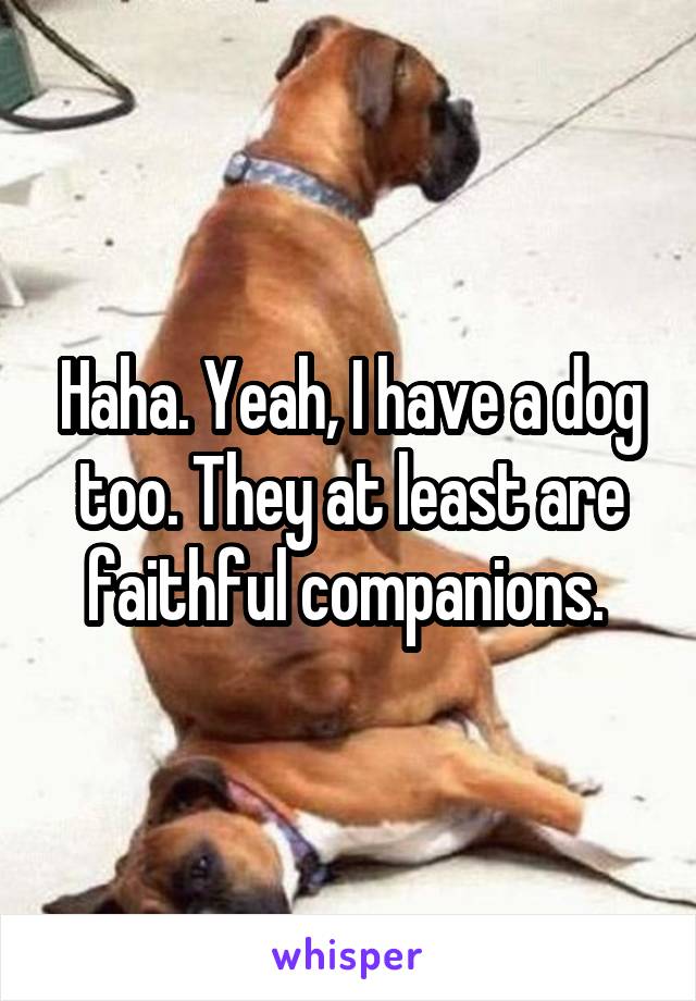 Haha. Yeah, I have a dog too. They at least are faithful companions. 